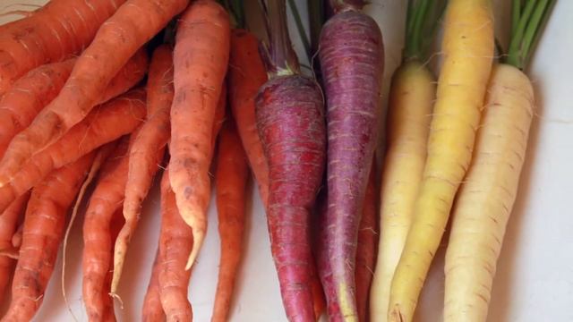 У наших предков росла фиолетовая морковь? смотреть онлайн