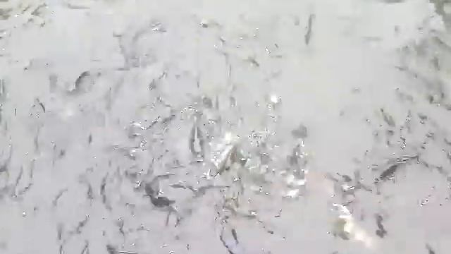 карпы смотреть онлайн