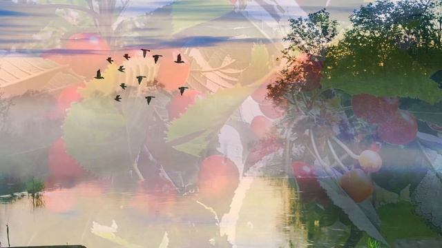 А НАД РЕЧКОЙ ТУМАН Исп. Елена Саларёва смотреть онлайн