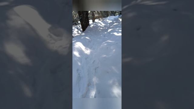 Чудові вихідні на Драгобраті смотреть онлайн