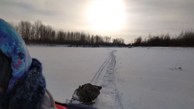 Мотобуксировщик 380 гусеница, двигатель Карвер 7л , редуктор автомат, небольшой обзор!!!! смотреть онлайн