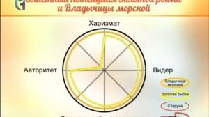 Сказочный маркетинг и менеджмент.  Первый цикл. Выпуск 2