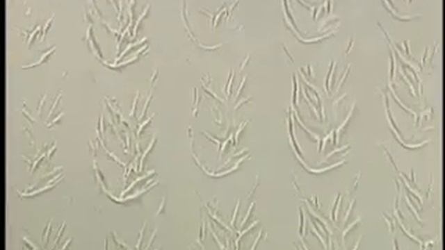 Террако - Видео-инструкция по нанесению часть2 (vipkraska.ru) смотреть онлайн