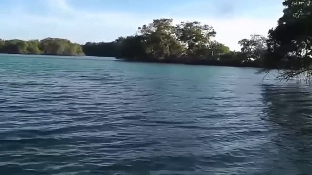 Cayo de Agua | Los Roques National Park | Venezuela | Travel Destination смотреть онлайн