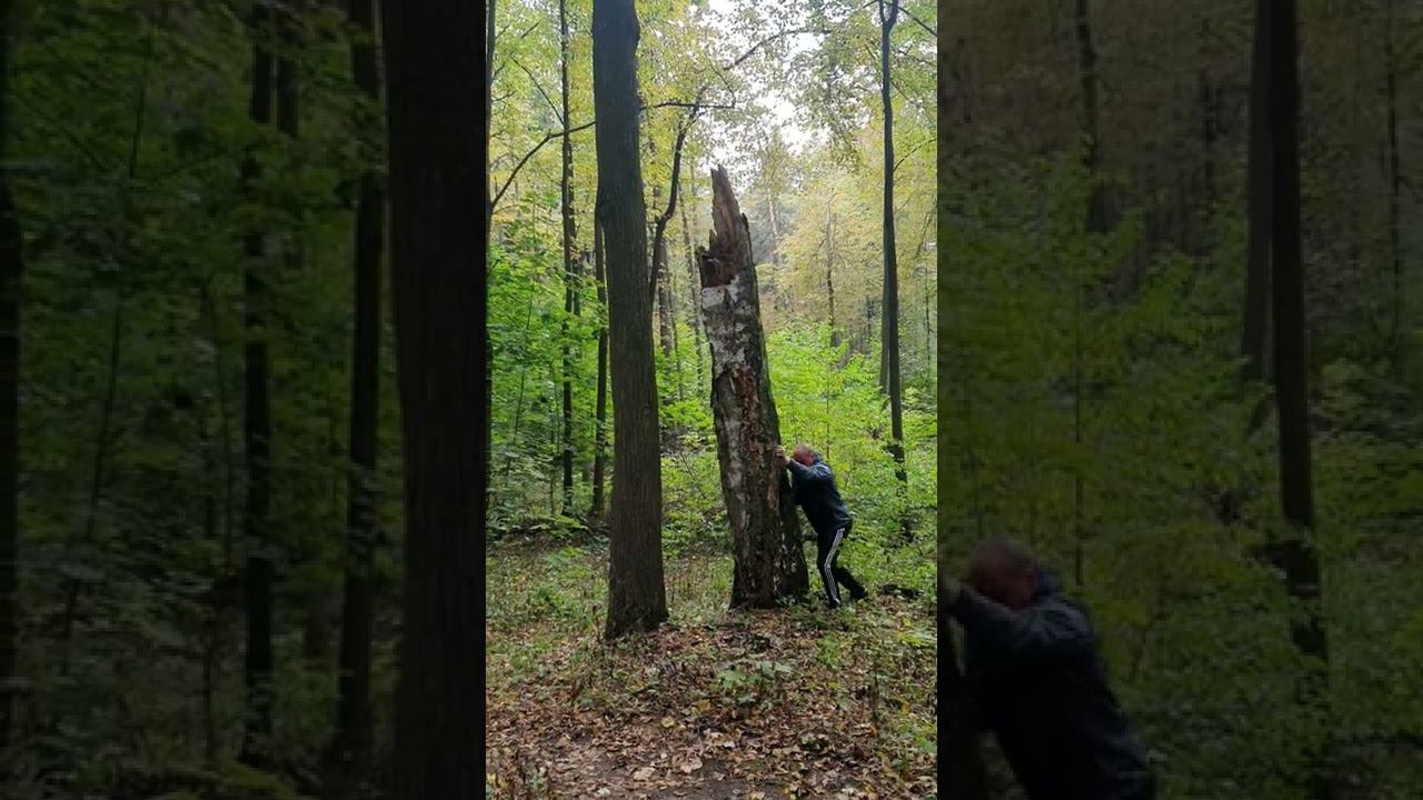 Завистникам! #утебянеполучится #Мяснов #АлександрМяснов #веравсебя #сила #мощнейший #шутка #юмор смотреть онлайн