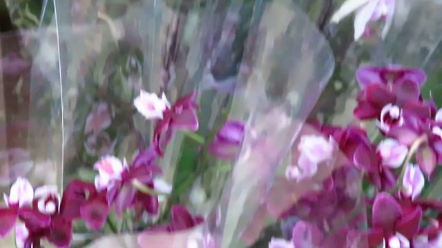 СУПЕР ЗАВОЗ У ОЛЕГА!!!!ВЫ ТАКОГО НЕ ВИДЕЛИ НИКОГДА!!!!! смотреть онлайн