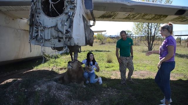 Девушка дрожит от страха и еле выходит из самолета ... смотреть онлайн