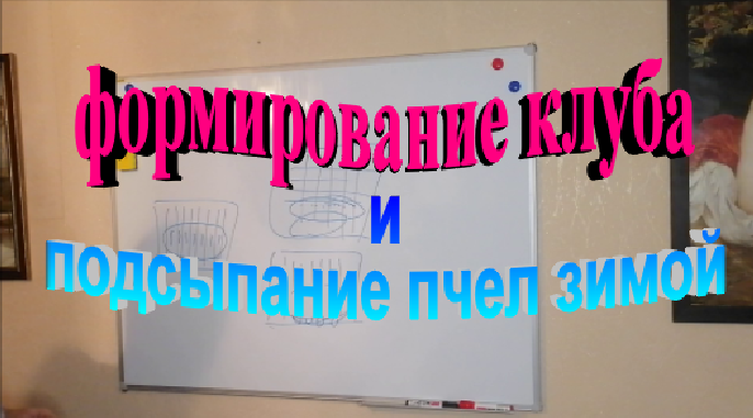Формирование клуба и подсыпание пчел зимой. смотреть онлайн