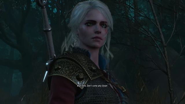 Witcher 3: CIRI Alternative Look/Costume - Free DLC Preview смотреть онлайн