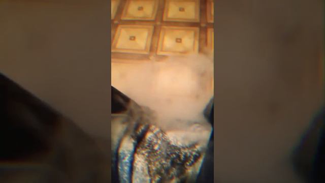 Просто парю смотреть онлайн