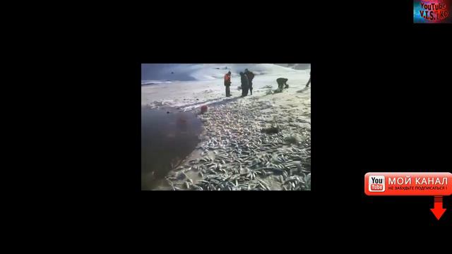 Страшные Явления Природы. Замор. смотреть онлайн