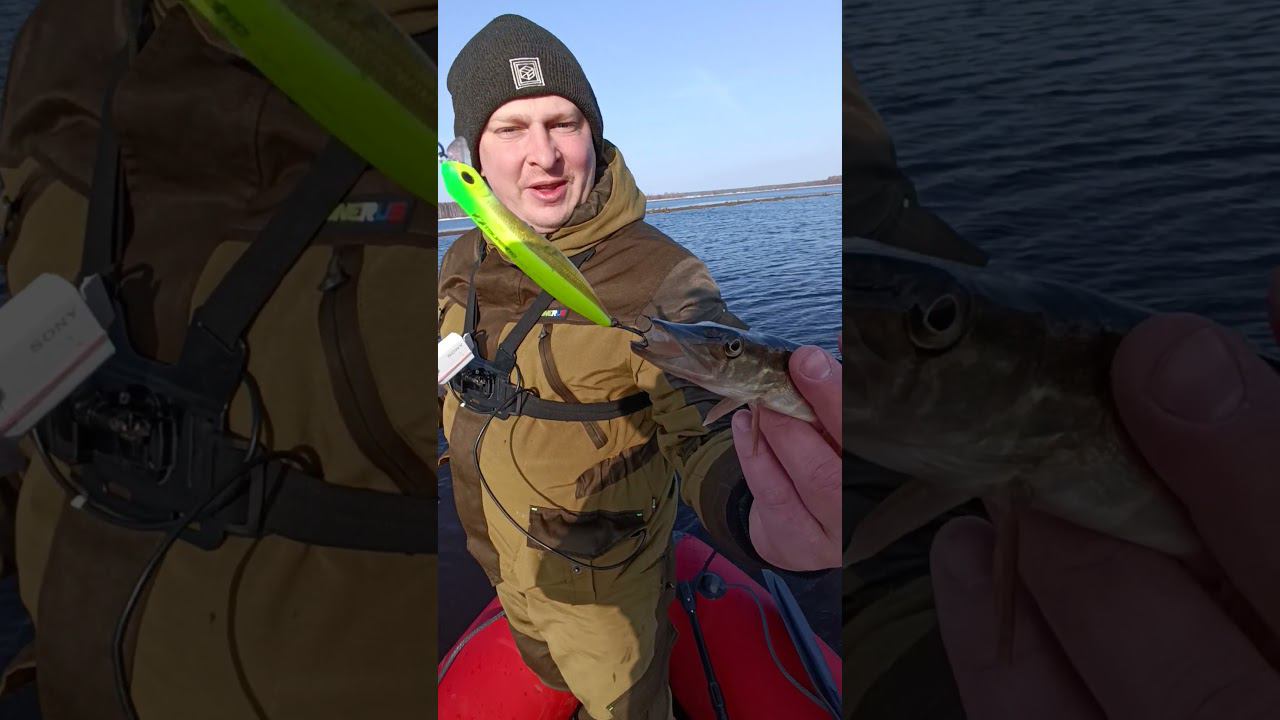 Первая щука на спиннинг 2024. #рыбалка #fishing #fishingvideo #shortvideo смотреть онлайн