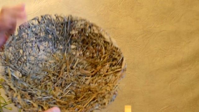 #Флористика Букет на каркасе из Крылатки и сена (Мастер класс) смотреть онлайн