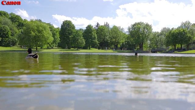 Canon eos m6 Mark ii .. ef m 22mm 2022 смотреть онлайн