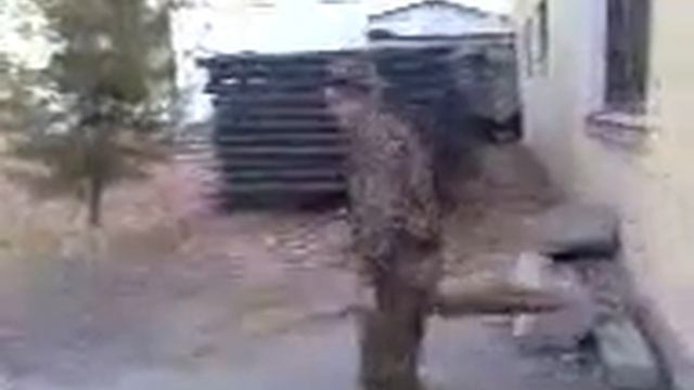 dancing salider. танцующий солдат смотреть онлайн