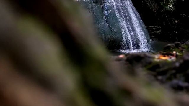 KUPANG, INDONESIA 2017