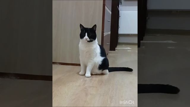 #деньрождения.mp4