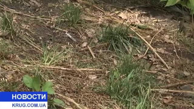 Место не для прогулок смотреть онлайн
