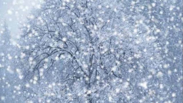 Είσαι ένα πιστολι - Σφακιανάκης смотреть онлайн