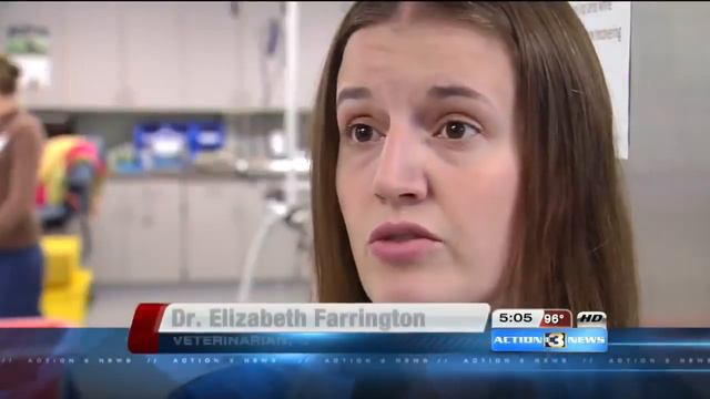 Слабонервным не смотреть смотреть онлайн