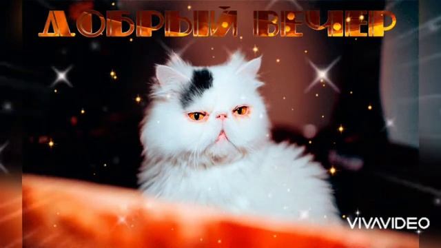 Добрый вечер вам друзья! ??? Спокойной ночи! ???