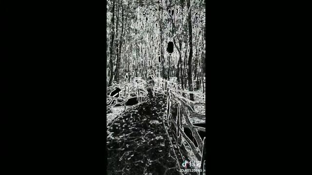 Парк развлечений в Шанхае - 