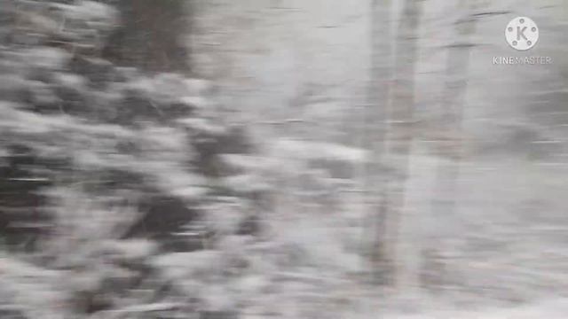 Гуамское ущелье, база отдыха "Водолей". Апшеронский район смотреть онлайн