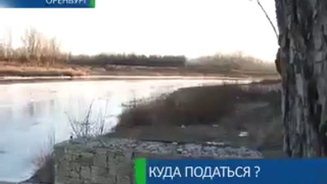 Куда податься? 11-12-12 смотреть онлайн