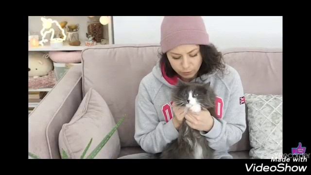 Аня отдаёт Алису?? У котомонстра новая семья???(фан Ани Меджик) смотреть онлайн