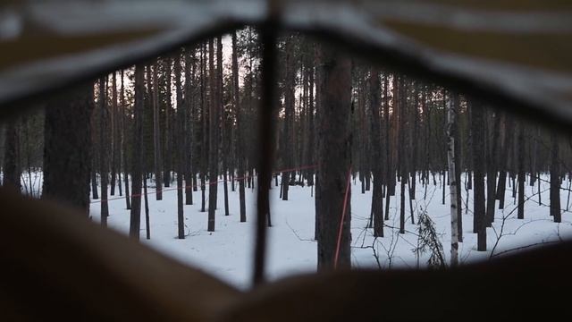 ПОХОД В ЛЕС ЗИМОЙ В АПРЕЛЕ. ?️ НОВАЯ ПАЛАТКА БЕРЕГ МФП-5 смотреть онлайн