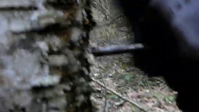 Березовый сок (Мастер-класс) смотреть онлайн