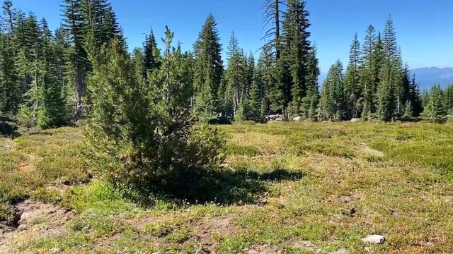 Расслабляющая музыка для души: необыкновенно красивая природа и щебетание птиц