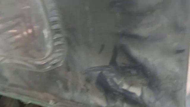 Bajaj auto 3 wheeler starting problem part 1 смотреть онлайн