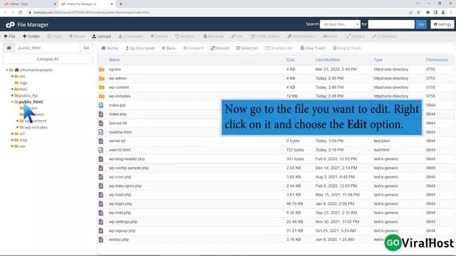 How to Edit file in the cPanel File Manager with GoViralHost смотреть онлайн
