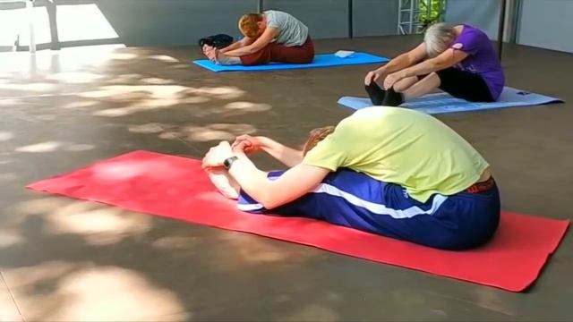 Занятие по йоге в парке Царицыно 07.08.2020 г. смотреть онлайн
