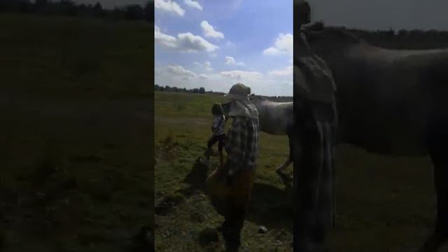 КСК Орловское поместье. Моё первое занятие с лошадкой по имени Фаир смотреть онлайн