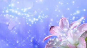 Лечебный сеанс каналом Небесный цветок из Блока 21 век Школа Космоэнергетики Серебро Перо Хинди