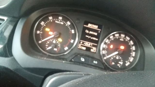 Skoda Rapid 1.6 мороз -25
