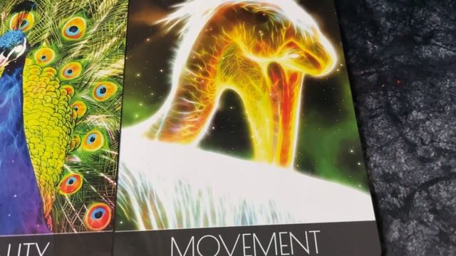 Spirit Animal Oracle смотреть онлайн