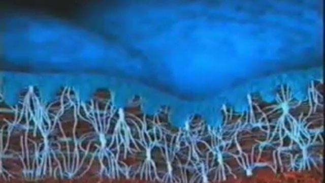Механизм старения кожи.mp4 смотреть онлайн