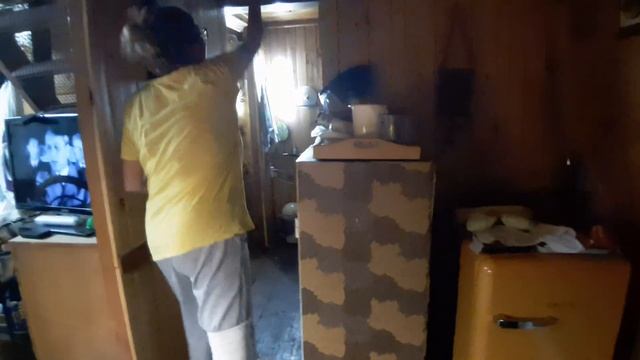 Борьба с мышами на даче самым гуманным способом! Проверено!? смотреть онлайн