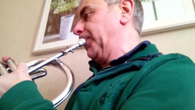 Demonstration of the difference between Trumpet, Cornet and Flugel Horn смотреть онлайн
