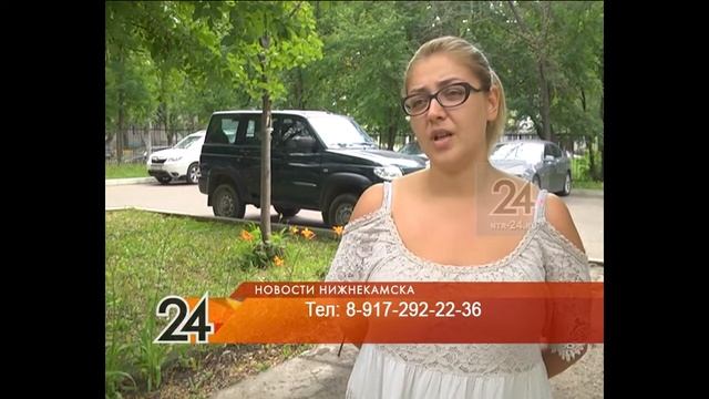 Вознаграждение за поимку кота в Нижнекамске увеличили до 20 тыс рублей смотреть онлайн