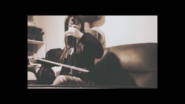 red chamber dream with erhu смотреть онлайн