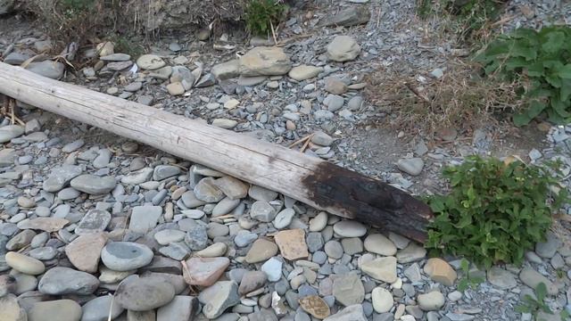 Анапа берег моря сегодня от спуска к морю 330 ступенек до пляжа 40 Лет Победы смотреть онлайн