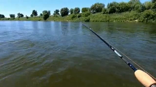 Голавль в начале июля смотреть онлайн