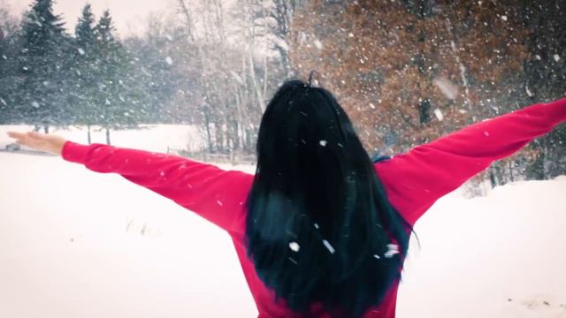 Snow Flake Showers in Minnesota смотреть онлайн