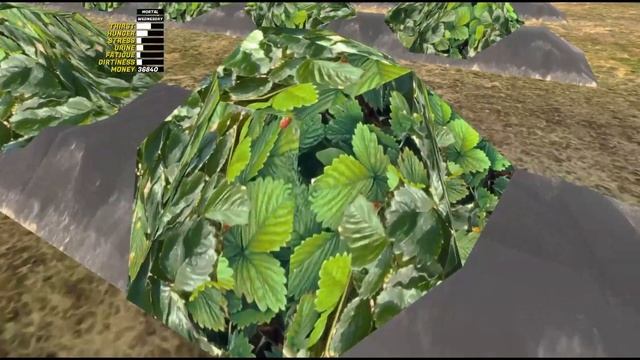 My summer car 2021 прохождение #25 | Сбор клубники смотреть онлайн