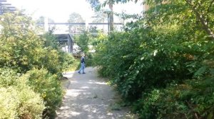 Котбус 35 ДШБ 2 Батальон Часть 3