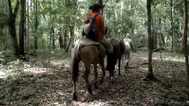Maya Jungle Trek to El Mirador, Part 1,El Petén Guatemala смотреть онлайн